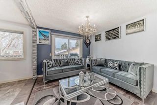 Photo 7: 303 Temple Close NE in Calgary: Temple Detached for sale : MLS®# A2113673