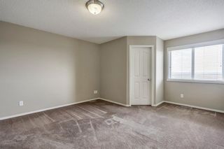 Photo 23: 51 Skyview Springs Cove NE in Calgary: Skyview Ranch Detached for sale : MLS®# C4186074