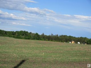 Photo 21: Twp Rd 612 RR 223: Rural Thorhild County Rural Land/Vacant Lot for sale : MLS®# E4299660