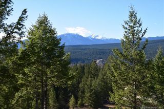 Photo 13: Lot 24 - 7045 WHITE TAIL LANE in Radium Hot Springs: Vacant Land for sale : MLS®# 2466390