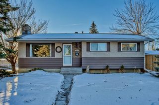 Main Photo: 819 Avonlea Place SE in Calgary: Acadia Detached for sale : MLS®# A2013147