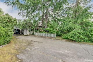 Photo 2: 1255 Marchant Rd in Central Saanich: CS Brentwood Bay House for sale : MLS®# 907126