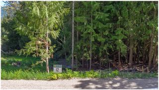 Photo 62: PLA 6810 Northeast 46 Street in Salmon Arm: Canoe Vacant Land for sale : MLS®# 10179387