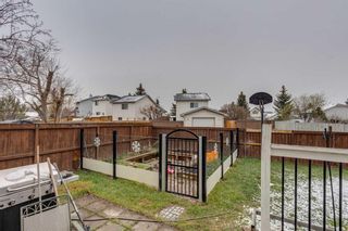 Photo 27: 11460 Coventry Boulevard NE in Calgary: Coventry Hills Detached for sale : MLS®# A2127883
