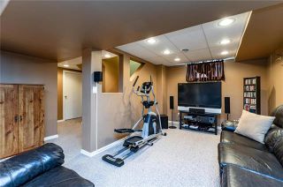 Photo 16: 49 Gobert Crescent in Winnipeg: River Park South Residential for sale (2F)  : MLS®# 1913790