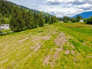 Photo 34: 785 IVERSON Road in Chilliwack: Columbia Valley Agri-Business for sale (Cultus Lake)  : MLS®# C8044716