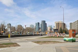 Photo 26: 307 38 9 Street NE in Calgary: Bridgeland/Riverside Apartment for sale : MLS®# A2123850