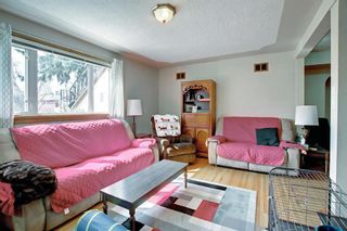 Photo 33: 424 19 Avenue NE in Calgary: Winston Heights/Mountview Detached for sale : MLS®# A2043392