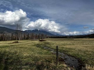 Photo 31: DL 1132 TELKWA HIGH Road in Smithers: Smithers - Rural Land for sale (Smithers And Area)  : MLS®# R2708512