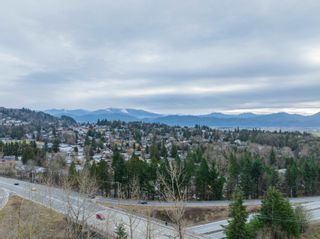 Photo 24: 2469 BECK Road in Abbotsford: Abbotsford East Land for sale : MLS®# R2852400