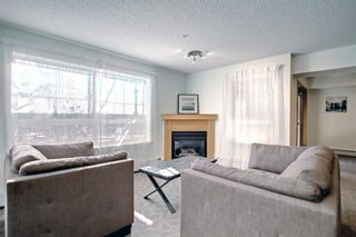 Photo 39: 317 5115 Richard Road SW in Calgary: Lincoln Park Apartment for sale : MLS®# A1179249