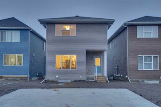 Photo 46: 1125 Bayview Gardens SW: Airdrie Detached for sale : MLS®# A2130544