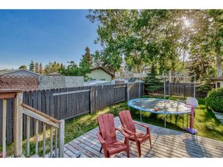 Photo 26: 14604 19 ST NW in Edmonton: House for sale : MLS®# E4340573