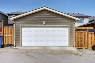 Photo 48: 55 Nolanfield Terrace NW in Calgary: Nolan Hill Detached for sale : MLS®# A1094536