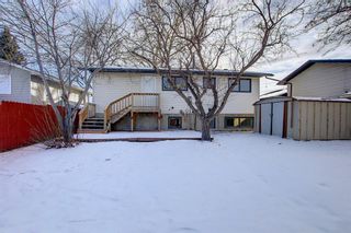 Photo 27: 212 Rundlefield Road NE in Calgary: Rundle Detached for sale : MLS®# A1166043