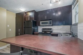 Photo 5: 103 1333 13 Avenue SW in Calgary: Beltline Apartment for sale : MLS®# A2054284
