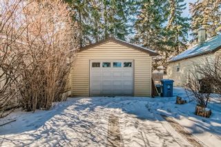 Photo 14: 7907 33 Avenue NW in Calgary: Bowness Detached for sale : MLS®# A2035789