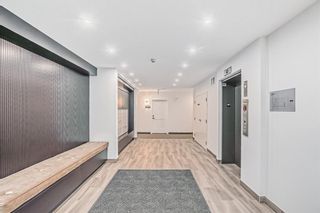 Photo 7: 4203 200 Seton Circle SE in Calgary: Seton Apartment for sale : MLS®# A2015770