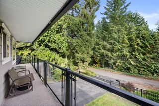 Photo 13: 4451 197A Street in Langley: Brookswood Langley House for sale in "BROOKSWOOD" : MLS®# R2627375