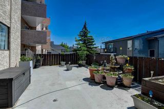 Photo 2: 4 635 Marsh Road NE in Calgary: Bridgeland/Riverside Apartment for sale : MLS®# A2056061