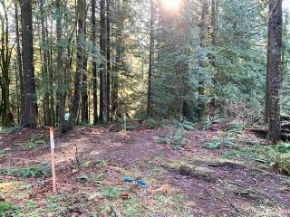 Photo 16: 9 36264 HARTLEY Road in Mission: Durieu Land for sale in "ALLAN LAKE" : MLS®# R2760959