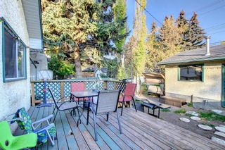Photo 32: 612 17 Avenue NW in Calgary: Mount Pleasant Detached for sale : MLS®# A2005008