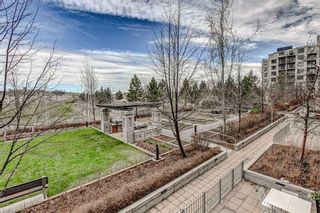 Photo 29: 314 46 9 Street NE in Calgary: Bridgeland/Riverside Apartment for sale : MLS®# A2128255