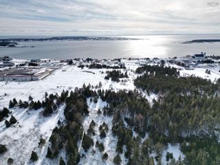 Photo 1: Acres Bouchers Lane in Arichat: 305-Richmond County / St. Peters Vacant Land for sale (Highland Region)  : MLS®# 202402492