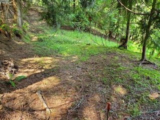 Photo 10: 424 East Point Rd in SATURNA: GI Saturna Island Land for sale (Gulf Islands)  : MLS®# 763755