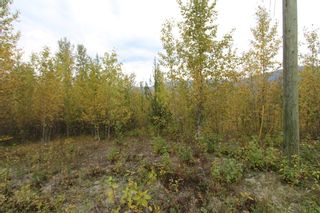 Photo 5: Lot 82 Sunset Drive: Eagle Bay Land Only for sale (Shuswap)  : MLS®# 10186646