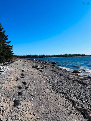 Photo 46: 570 Highway 330 in North East Point: 407-Shelburne County Residential for sale (South Shore)  : MLS®# 202405370