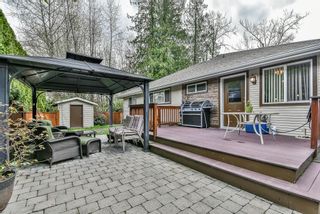 Photo 26: 23813 119 Avenue in Maple Ridge: Cottonwood MR House for sale in "Cottonwood" : MLS®# R2665772