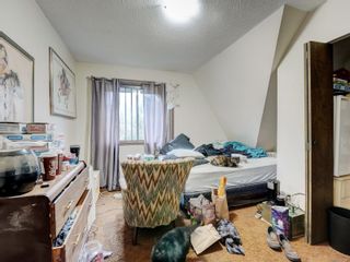 Photo 20: 3912 Braefoot Rd in Saanich: SE Cedar Hill Single Family Residence for sale (Saanich East)  : MLS®# 951237