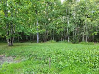 Photo 5: 1005 Alma Road in Sylvester: 108-Rural Pictou County Residential for sale (Northern Region)  : MLS®# 202222347