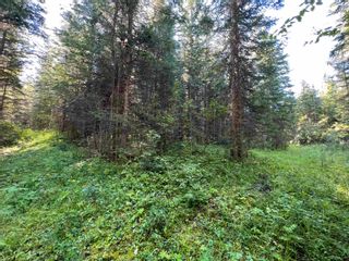 Photo 7: LOT 3 CAVE Road in Williams Lake: Horsefly Land for sale : MLS®# R2719437