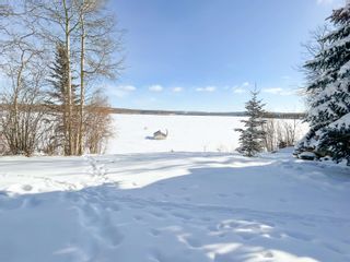 Photo 33: 13777 GOLF COURSE Road in Charlie Lake: Fort St. John - Rural W 100th House for sale (Fort St. John)  : MLS®# R2855699