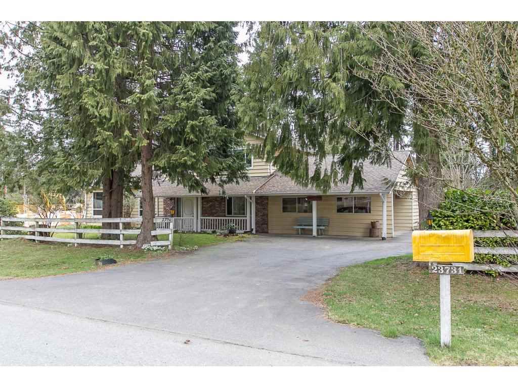 Photo 20: Photos: 23731 54A Avenue in Langley: Salmon River House for sale in "Tall Timbers" : MLS®# R2249568