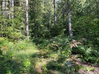 Photo 44: 1 Old Town Road, in Sicamous: Vacant Land for sale : MLS®# 10283165