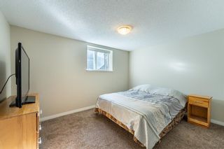 Photo 28: 1008 Pensdale Crescent SE in Calgary: Penbrooke Meadows Detached for sale : MLS®# A1145888