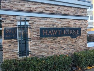 Photo 2: 121 8915 202 Street in Langley: Walnut Grove Condo for sale in "Hawthorne" : MLS®# R2633327