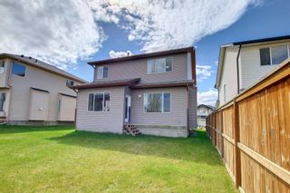 Photo 40: 112 WEST CREEK Meadow: Chestermere Detached for sale : MLS®# A1216075