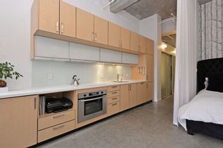 Photo 9: 201 546 BEATTY STREET in Vancouver: Downtown VW Condo for sale (Vancouver West)  : MLS®# R2032904