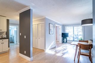 Photo 17: 5 616 24 Avenue SW in Calgary: Cliff Bungalow Apartment for sale : MLS®# A2022586