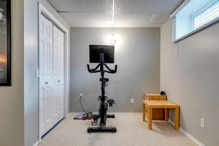 Photo 33: 16 12 Silver Creek Boulevard NW: Airdrie Row/Townhouse for sale : MLS®# A2116622