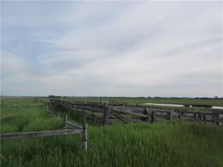 Photo 4: 250 Range Road: Rural Wheatland County Land for sale : MLS®# C4302878