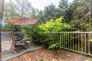 Photo 27: 229 RABBIT Lane in West Vancouver: British Properties House for sale : MLS®# R2796642