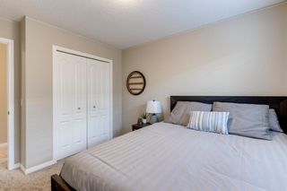 Photo 26: 206 Reunion Green NW: Airdrie Detached for sale : MLS®# A1241648