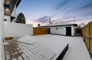 Photo 42: 835 21 Avenue NW in Calgary: Mount Pleasant Semi Detached for sale : MLS®# A1056279