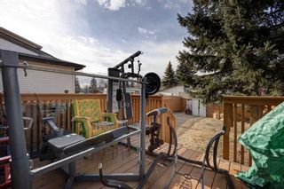 Photo 42: 209 Aboyne Place NE in Calgary: Abbeydale Semi Detached (Half Duplex) for sale : MLS®# A2080878