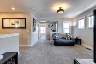 Photo 18: 240 Nolanhurst Place NW in Calgary: Nolan Hill Detached for sale : MLS®# A2036154